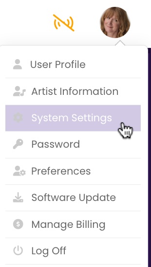 The System Settings menu item in the User Profile dropdown.